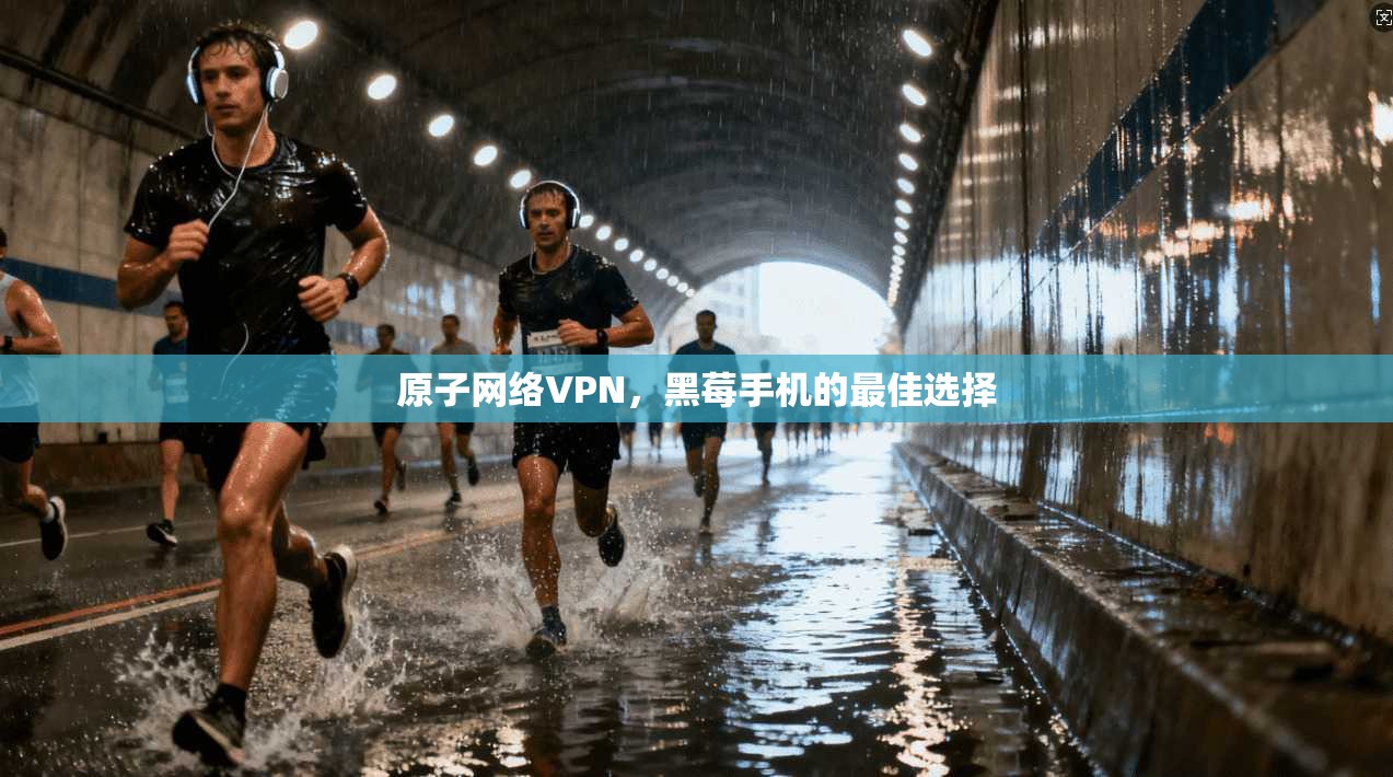原子网络VPN，黑莓手机的最佳选择