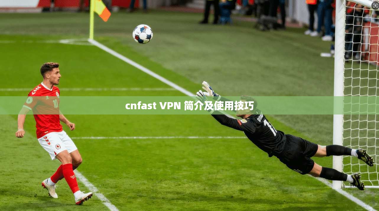 cnfast VPN 简介及使用技巧