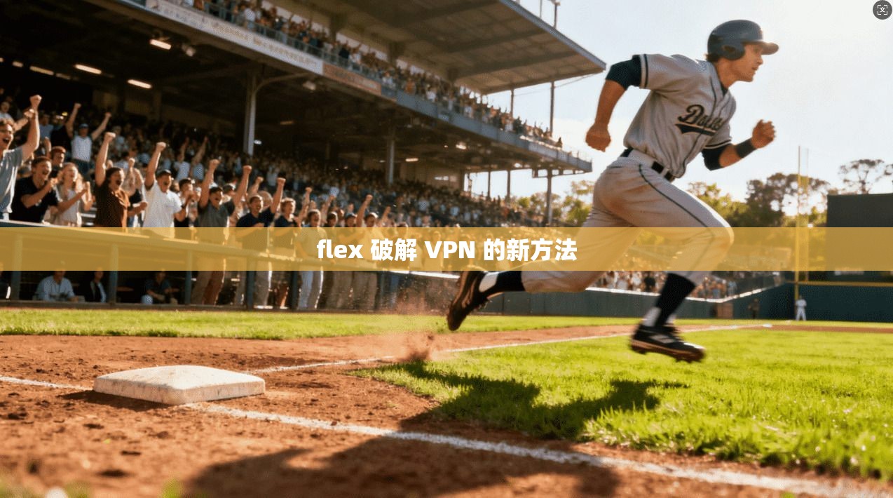 flex 破解 VPN 的新方法
