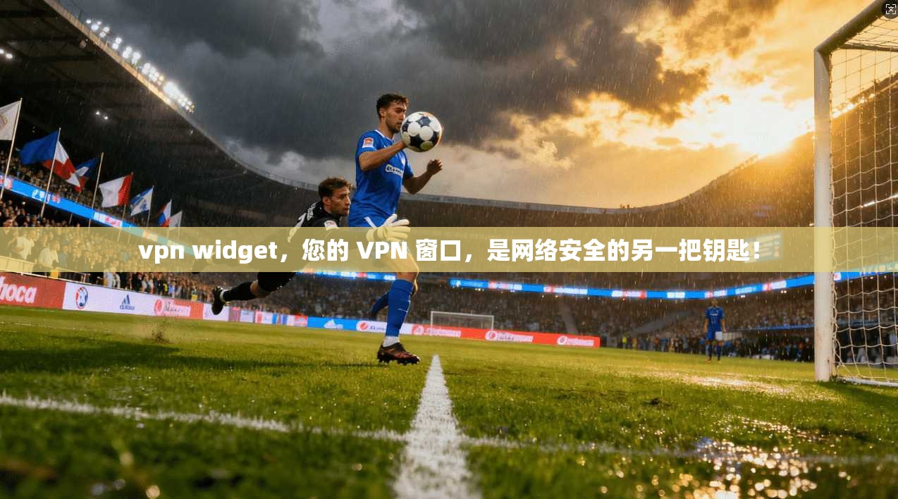 vpn widget,您的 VPN 窗口,是网络安全的另一把钥匙!