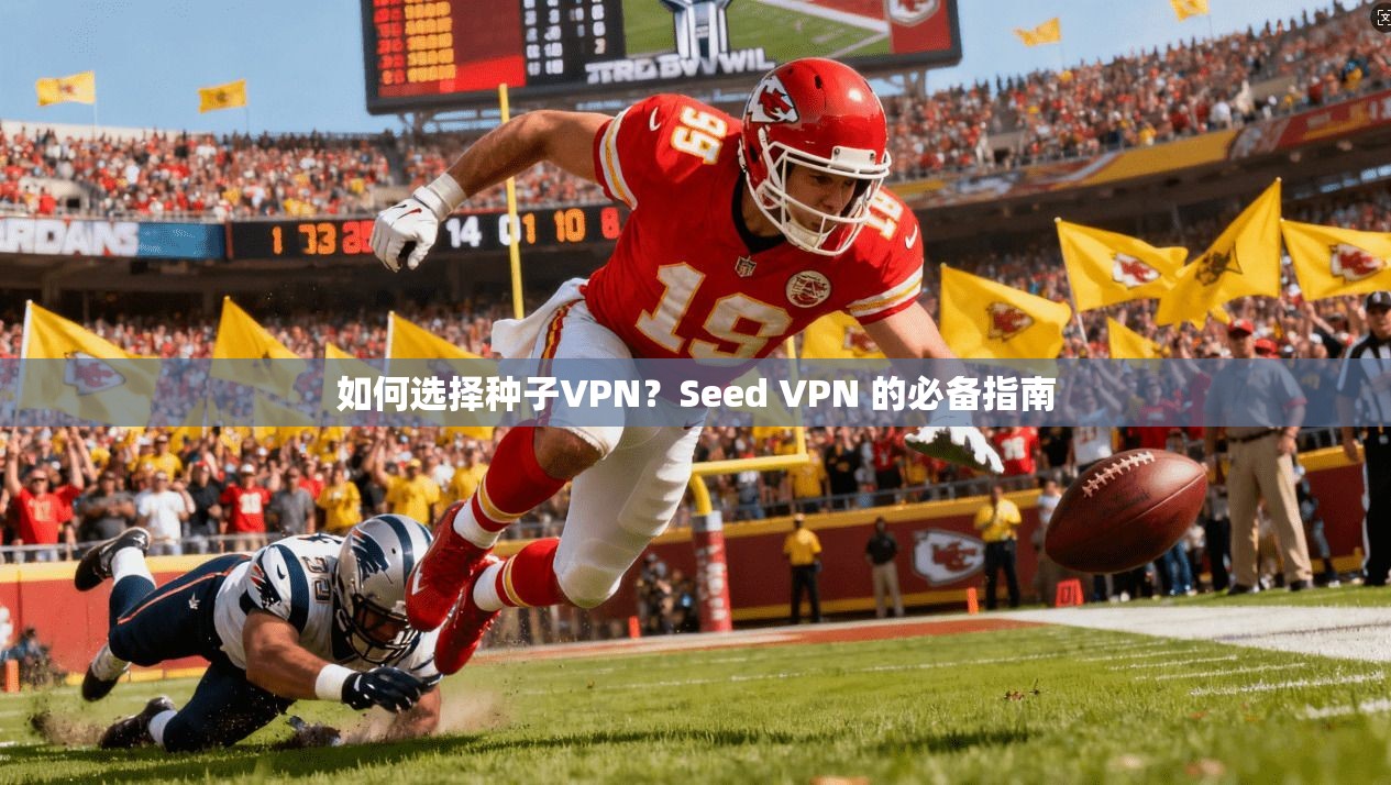 如何选择种子VPN？Seed VPN 的必备指南