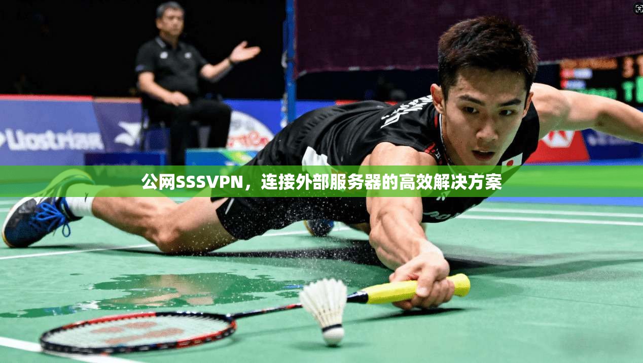 公网SSSVPN,连接外部服务器的高效解决方案