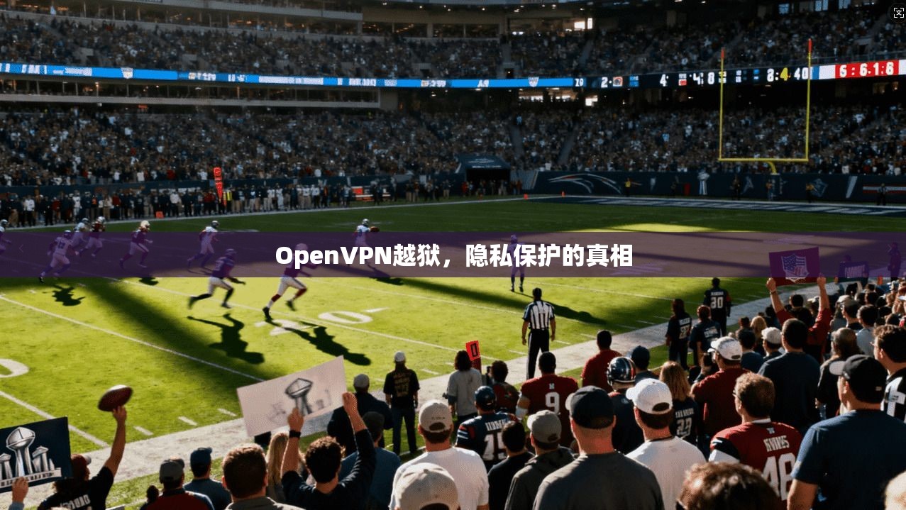 OpenVPN越狱,隐私保护的真相