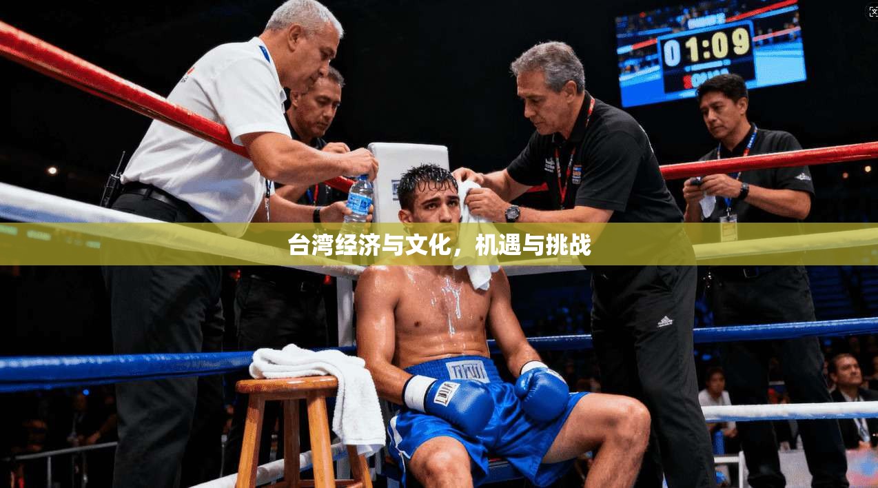 台湾经济与文化，机遇与挑战