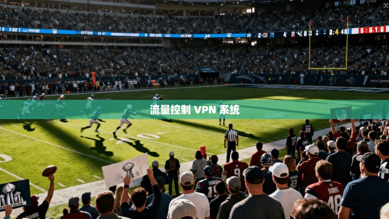 流量控制 VPN 系统