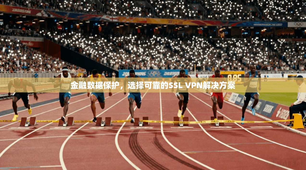 金融数据保护，选择可靠的SSL VPN解决方案