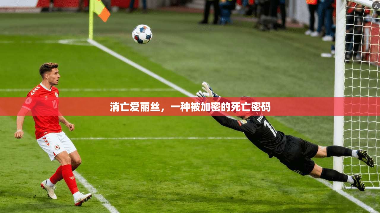 消亡爱丽丝，一种被加密的死亡密码