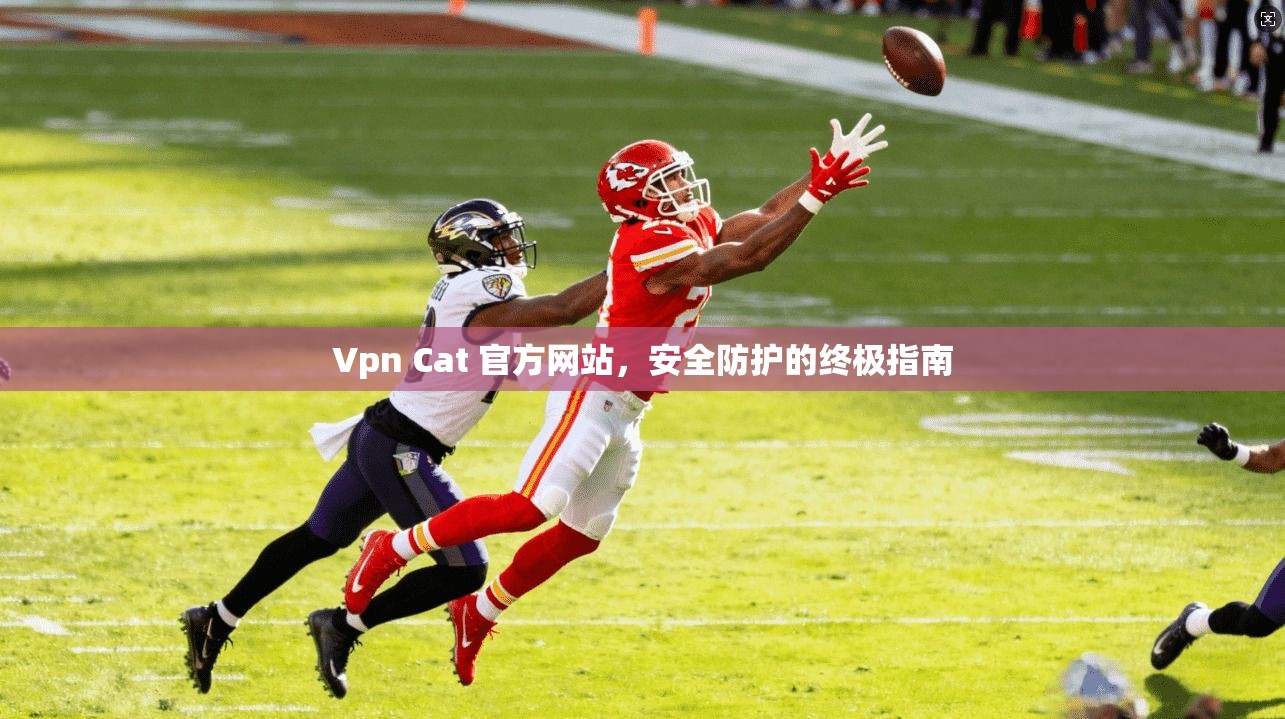 Vpn Cat 官方网站，安全防护的终极指南