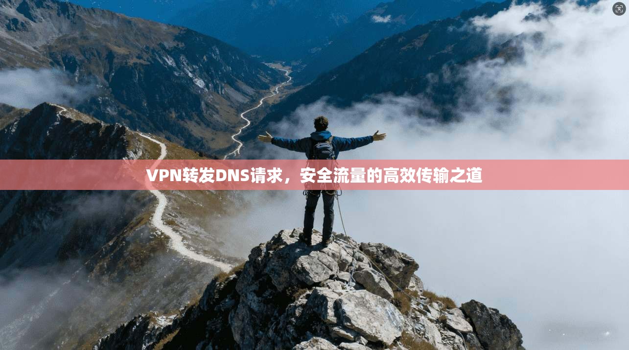 VPN转发DNS请求，安全流量的高效传输之道