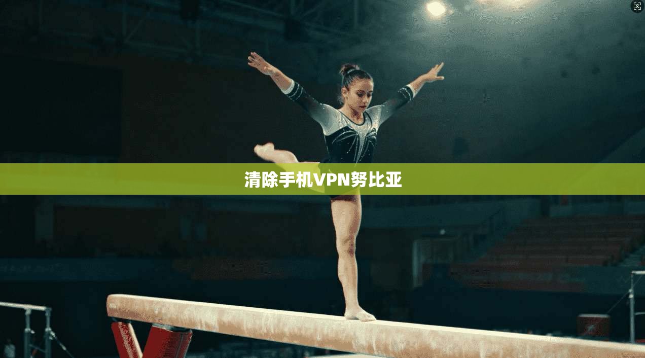 清除手机VPN努比亚
