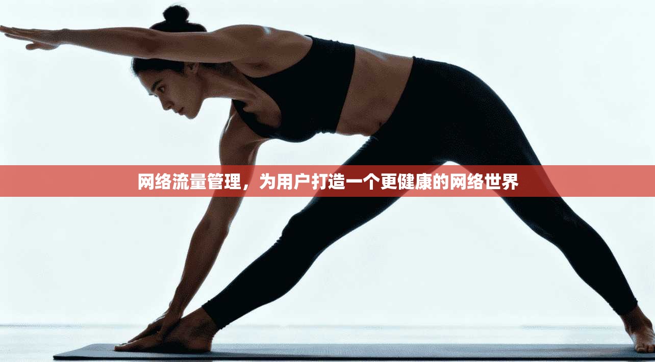网络流量管理,为用户打造一个更健康的网络世界