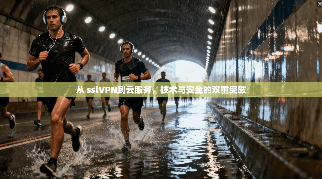 从 sslVPN到云服务，技术与安全的双重突破