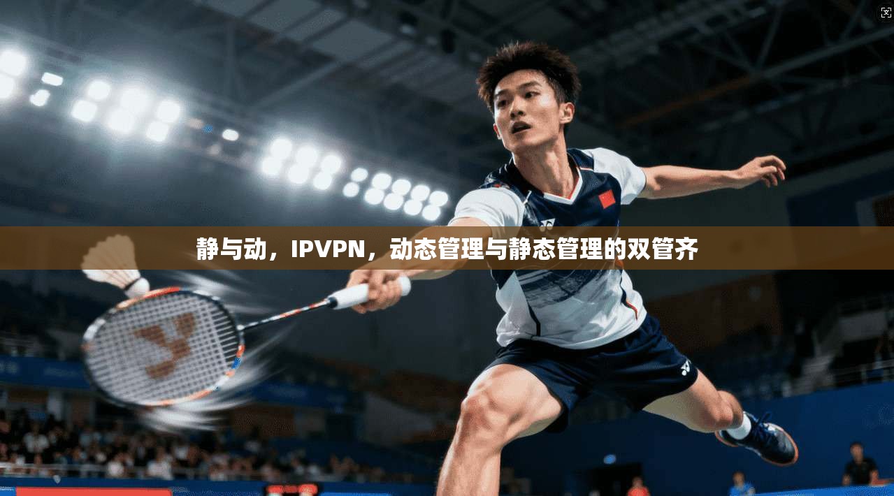 静与动，IPVPN，动态管理与静态管理的双管齐