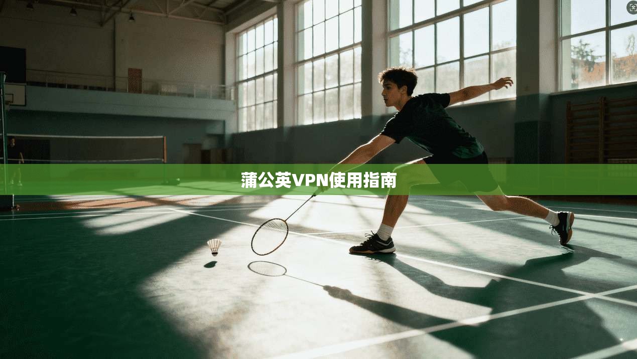 蒲公英VPN使用指南