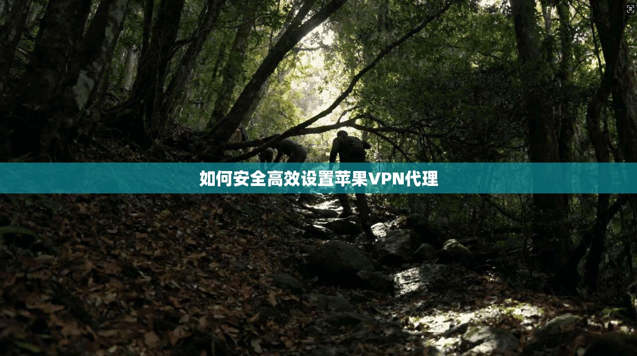 如何安全高效设置苹果VPN代理