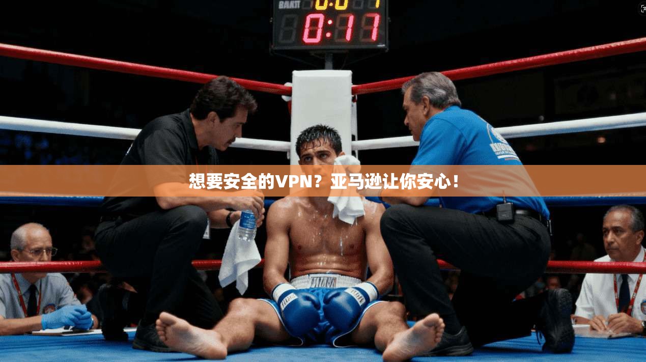 想要安全的VPN？亚马逊让你安心！