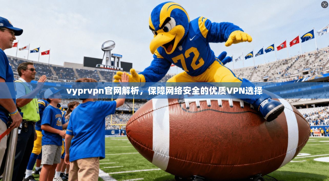 vyprvpn官网解析，保障网络安全的优质VPN选择