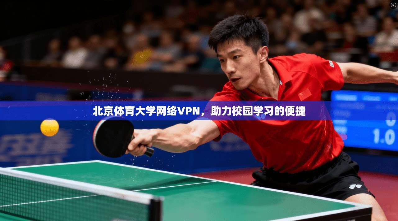 北京体育大学网络VPN，助力校园学习的便捷