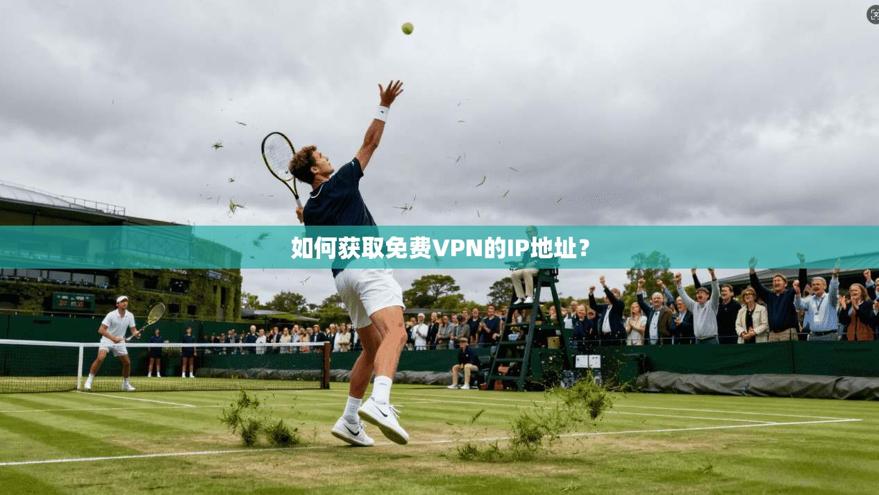 如何获取免费VPN的IP地址?