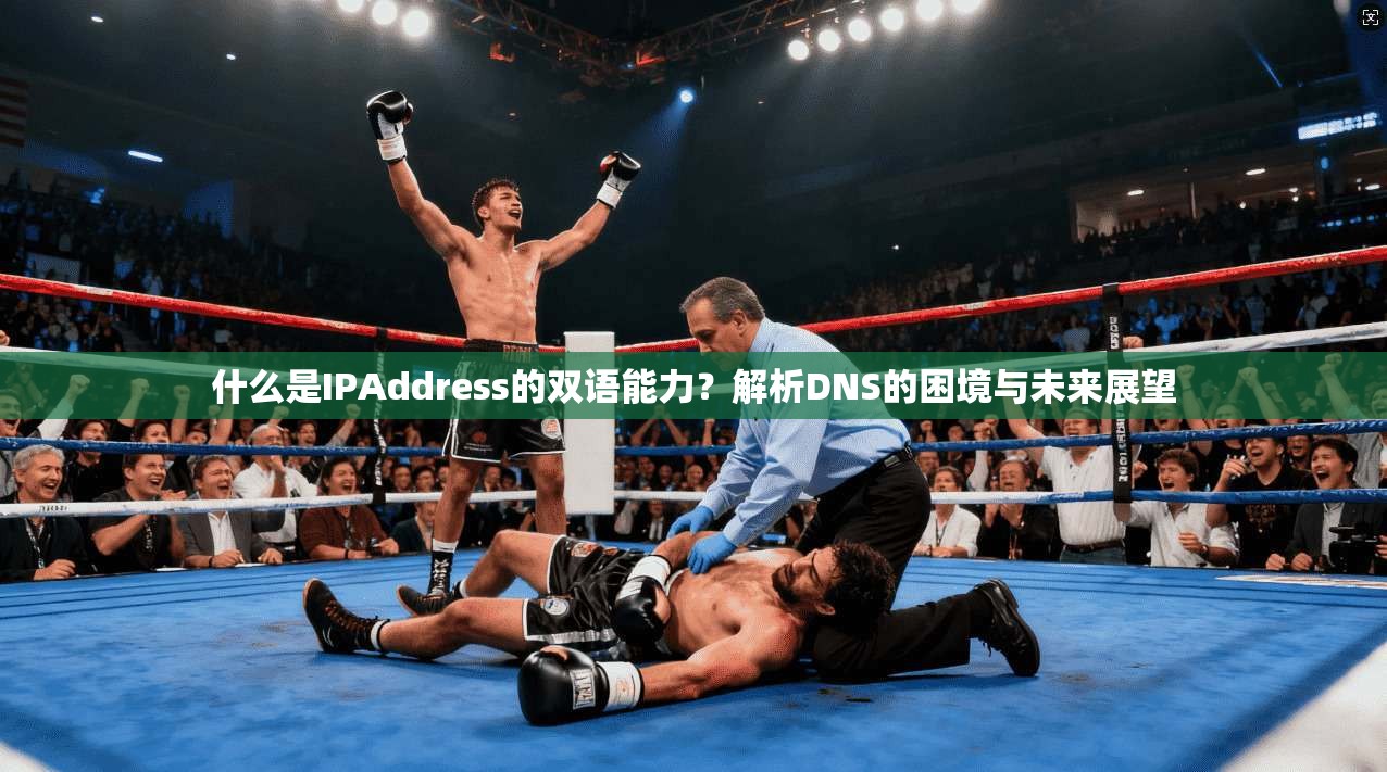 什么是IPAddress的双语能力？解析DNS的困境与未来展望