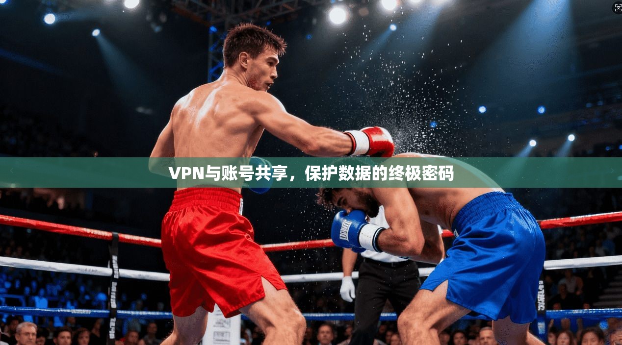 VPN与账号共享，保护数据的终极密码
