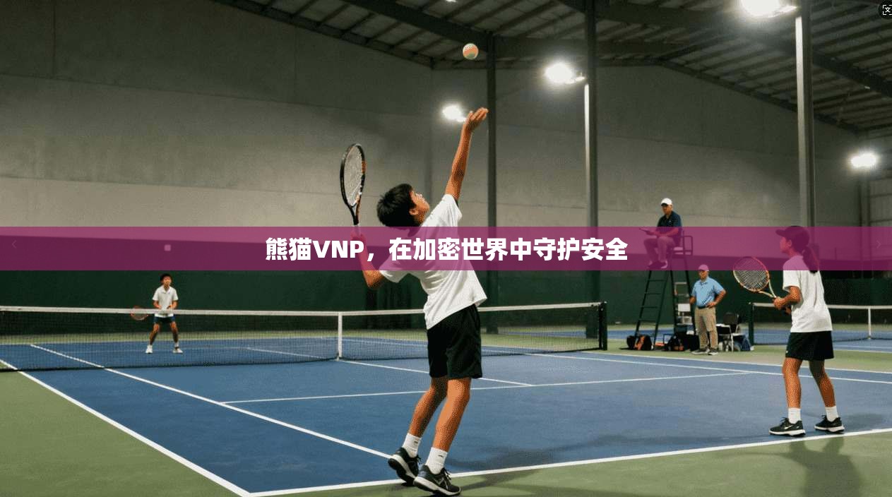 熊猫VNP，在加密世界中守护安全