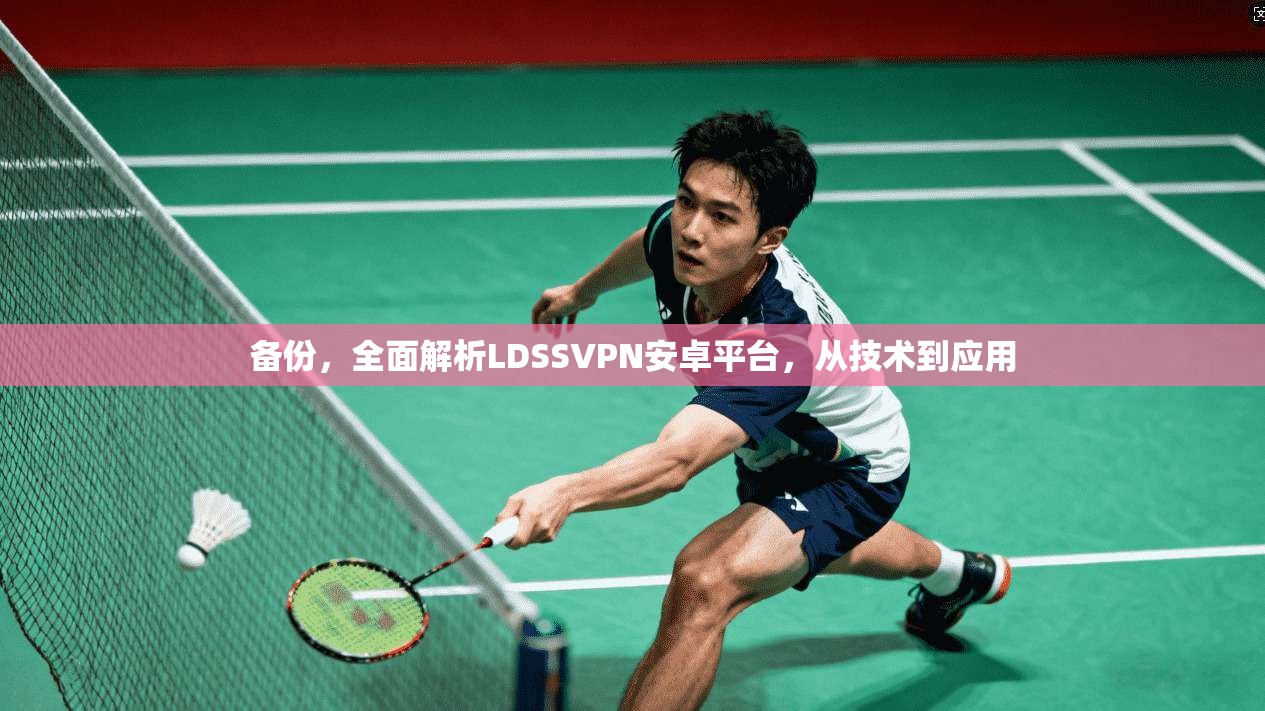 备份，全面解析LDSSVPN安卓平台，从技术到应用