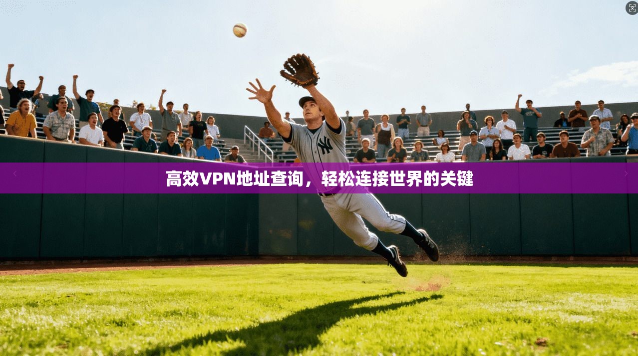 高效VPN地址查询，轻松连接世界的关键