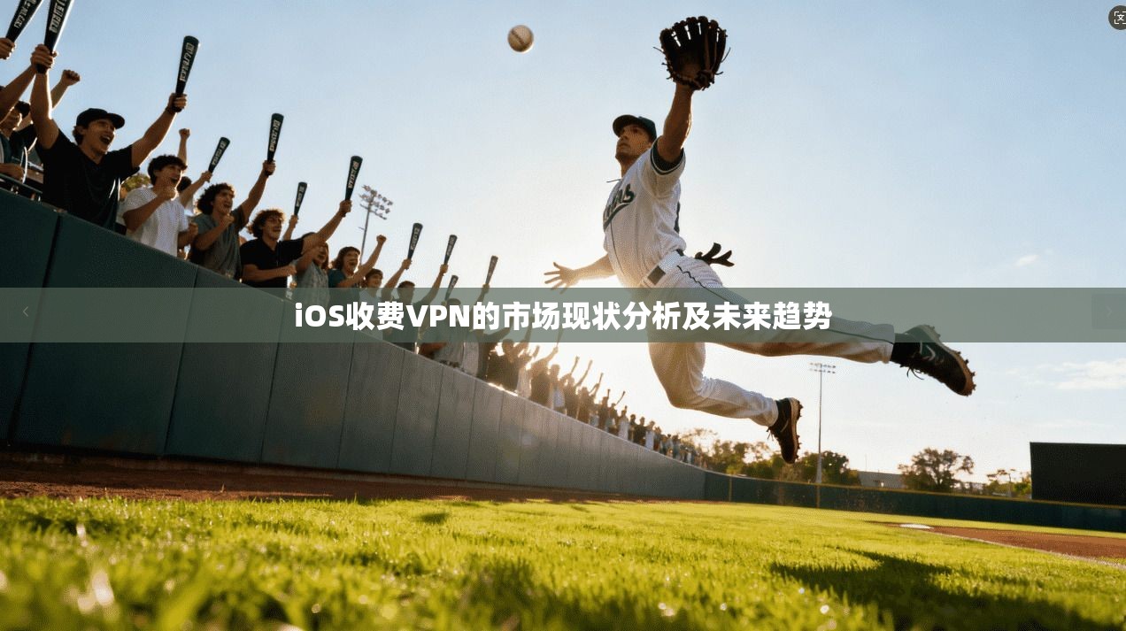 iOS收费VPN的市场现状分析及未来趋势