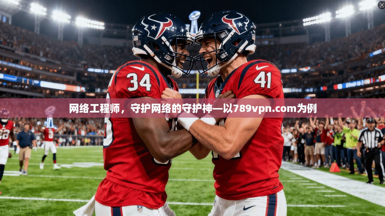 网络工程师，守护网络的守护神—以789vpn.com为例