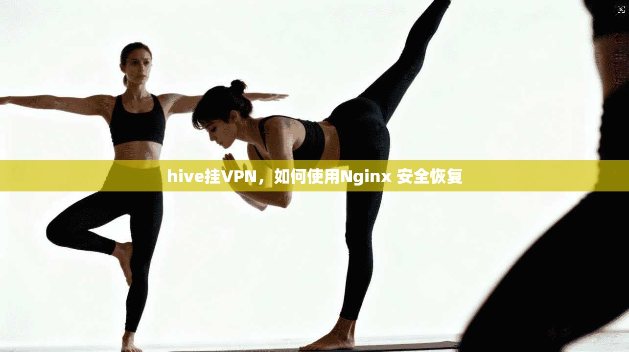 hive挂VPN，如何使用Nginx 安全恢复