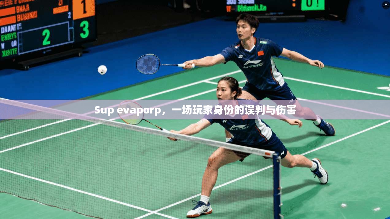 Sup evaporp，一场玩家身份的误判与伤害