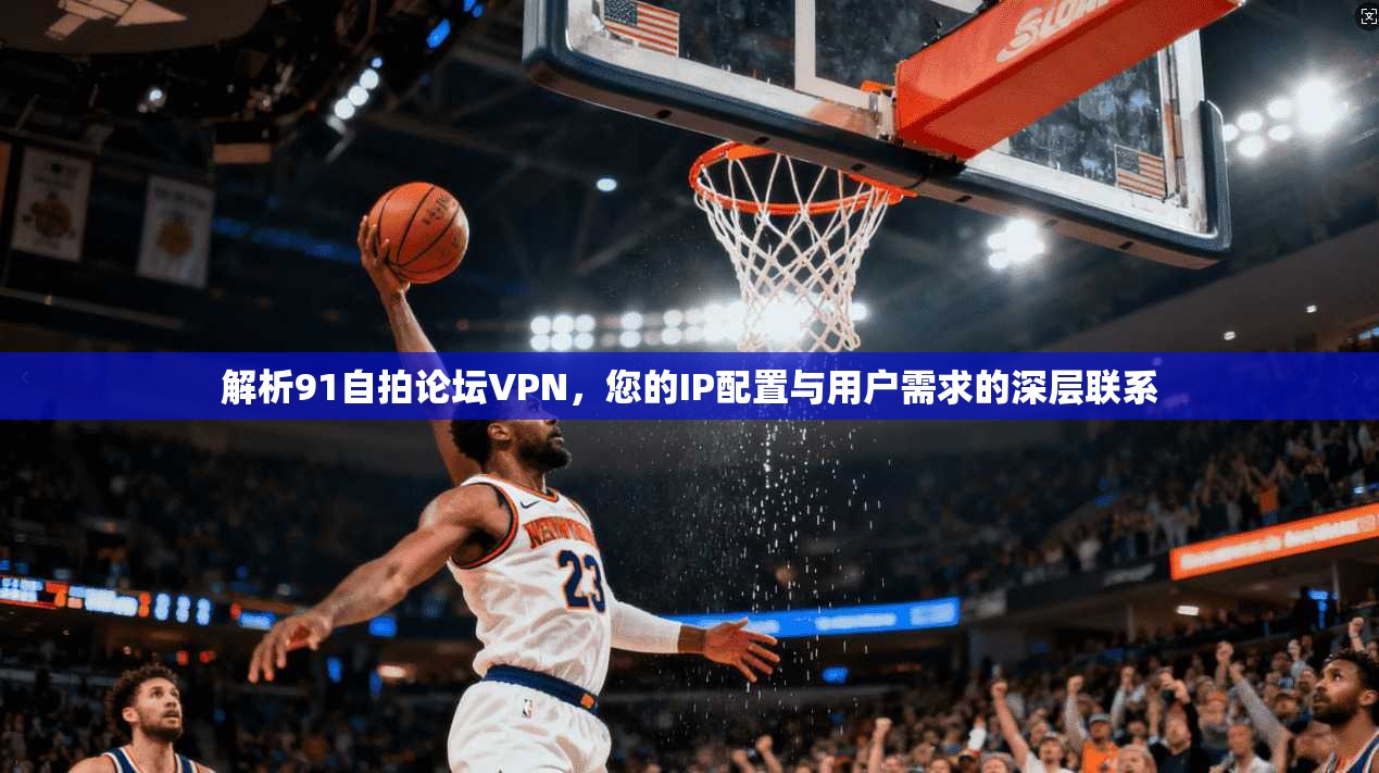 解析91自拍论坛VPN，您的IP配置与用户需求的深层联系