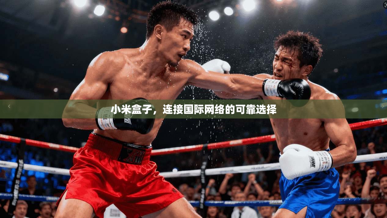 小米盒子,连接国际网络的可靠选择