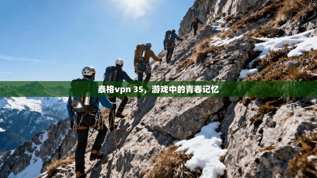 泰格vpn 35,游戏中的青春记忆