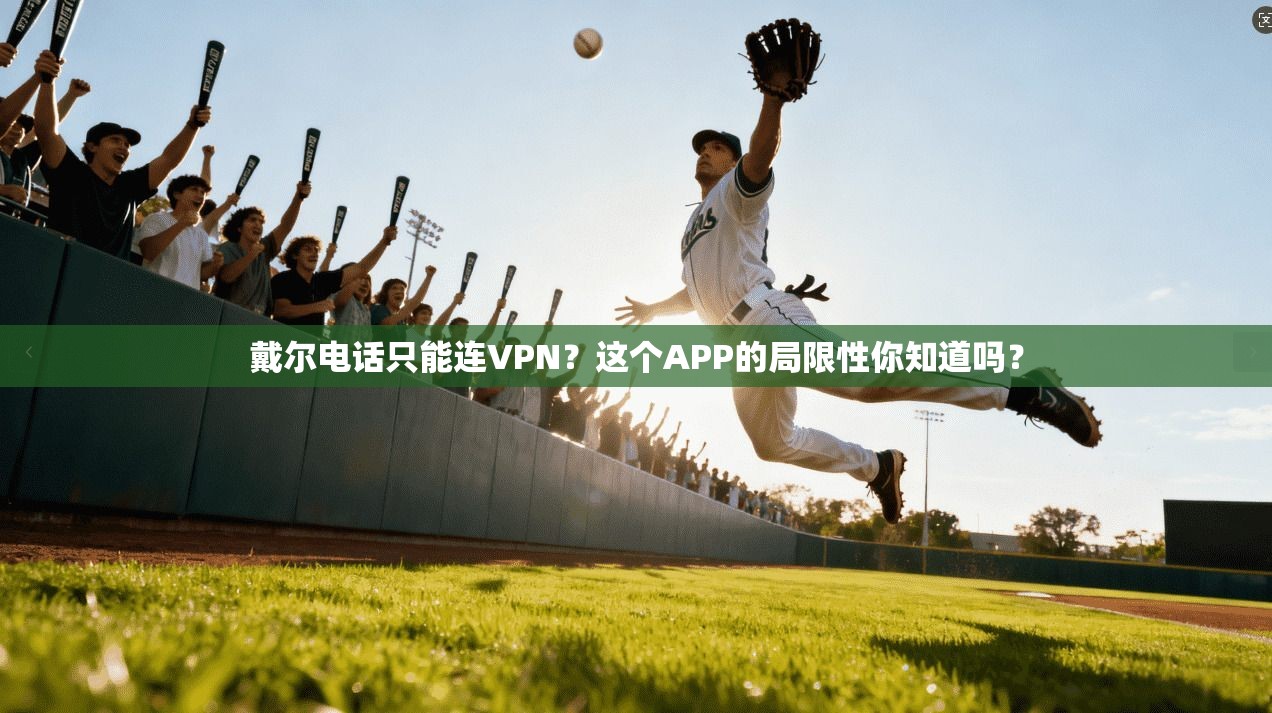 戴尔电话只能连VPN？这个APP的局限性你知道吗？