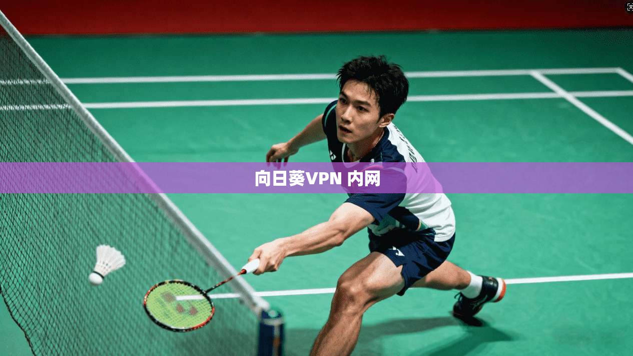 向日葵VPN 内网