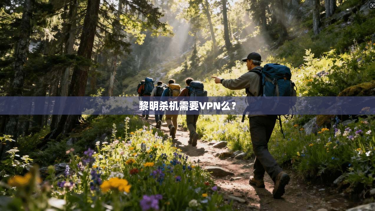 黎明杀机需要VPN么？  第1张