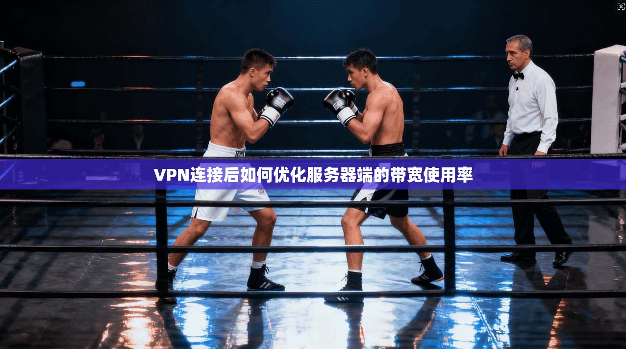 VPN连接后如何优化服务器端的带宽使用率 第1张 VPN连接后如何优化服务器端的带宽使用率 第1张