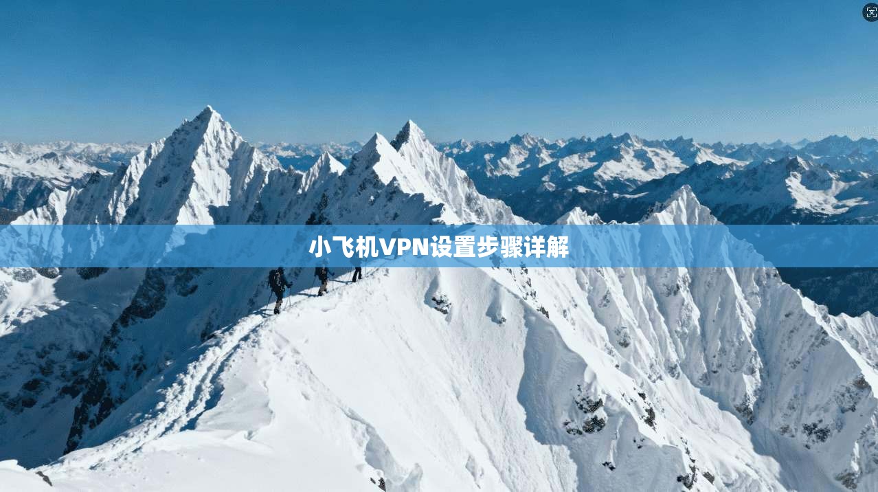 小飞机VPN设置步骤详解  第1张