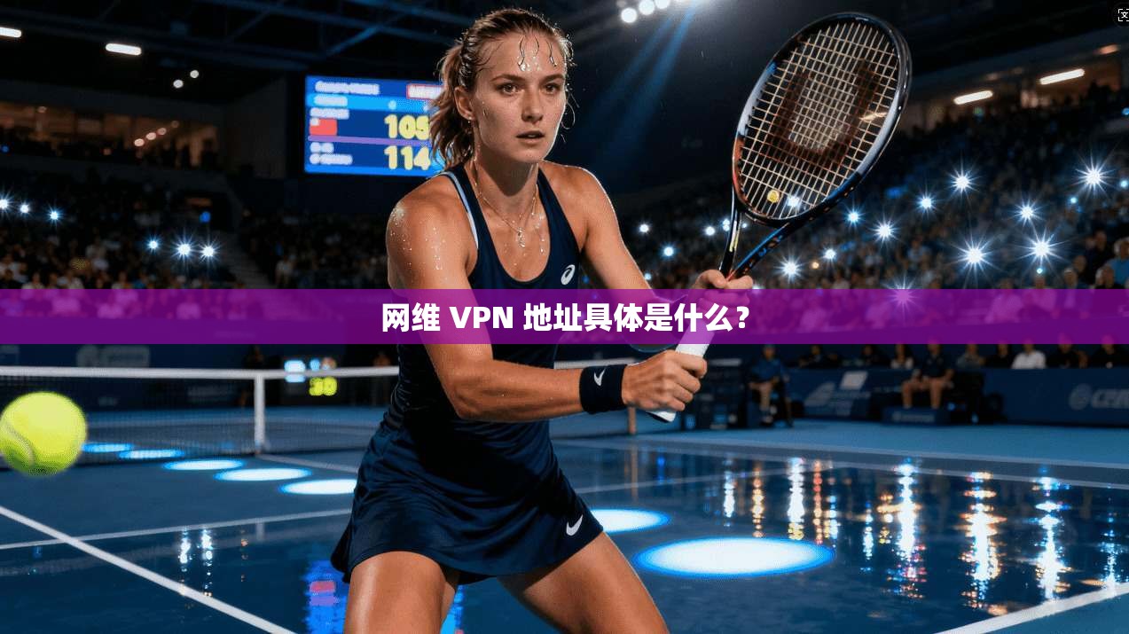 网维 VPN 地址具体是什么?