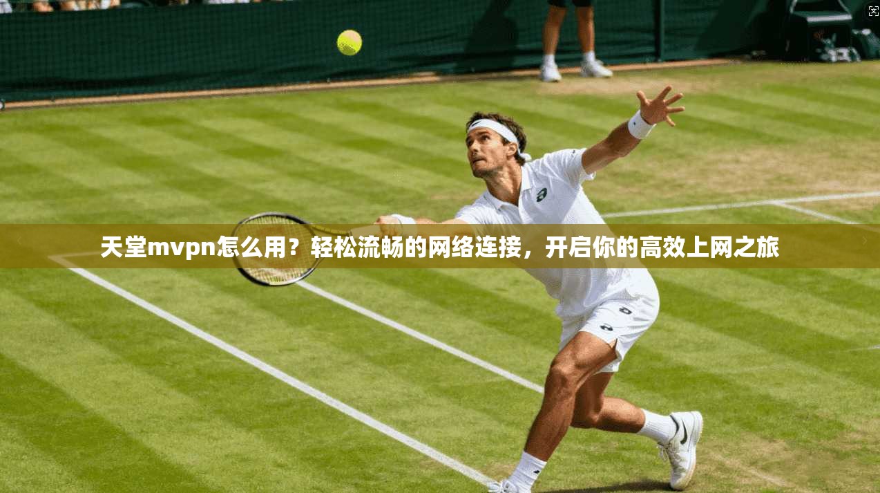 天堂mvpn怎么用?轻松流畅的网络连接,开启你的高效上网之旅