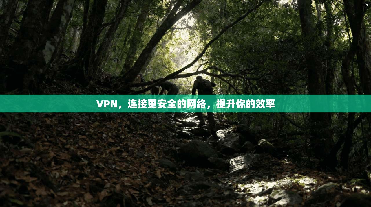 VPN,连接更安全的网络,提升你的效率 第1张 VPN,连接更安全的网络,提升你的效率 第1张