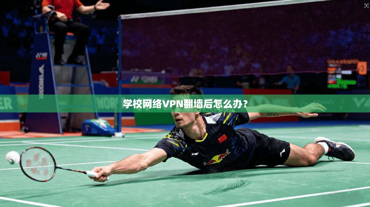 学校网络VPN翻墙后怎么办?