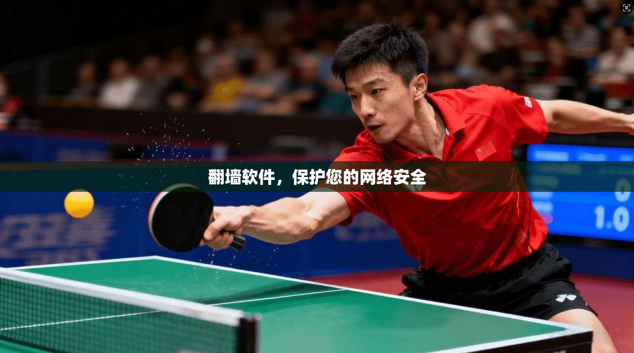 翻墙软件,保护您的网络安全