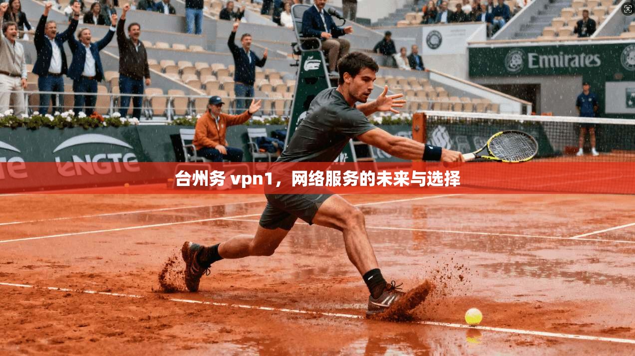 台州务 vpn1,网络服务的未来与选择