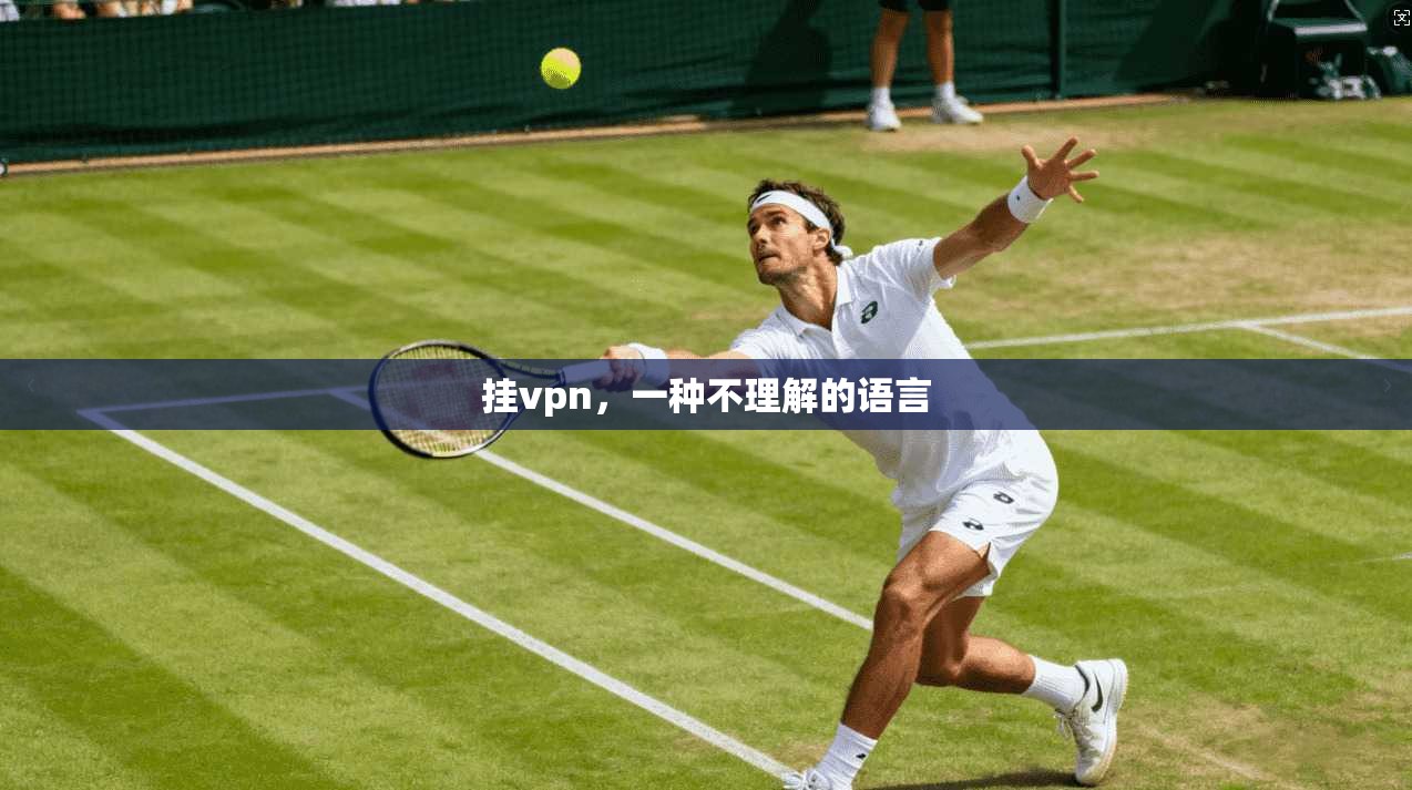 挂vpn,一种不理解的语言