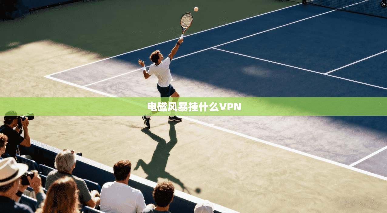 电磁风暴挂什么VPN