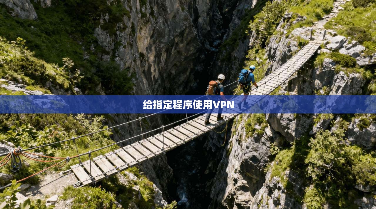 给指定程序使用VPN