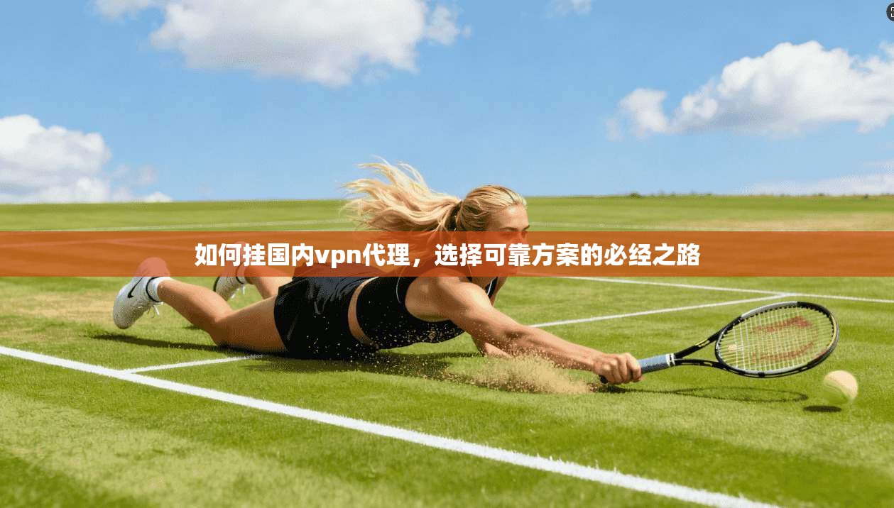 如何挂国内vpn代理，选择可靠方案的必经之路